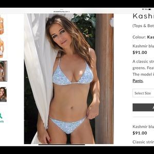 Elizabeth Hurley Blue green Paisley bikini XL NWT top L bottom NWT